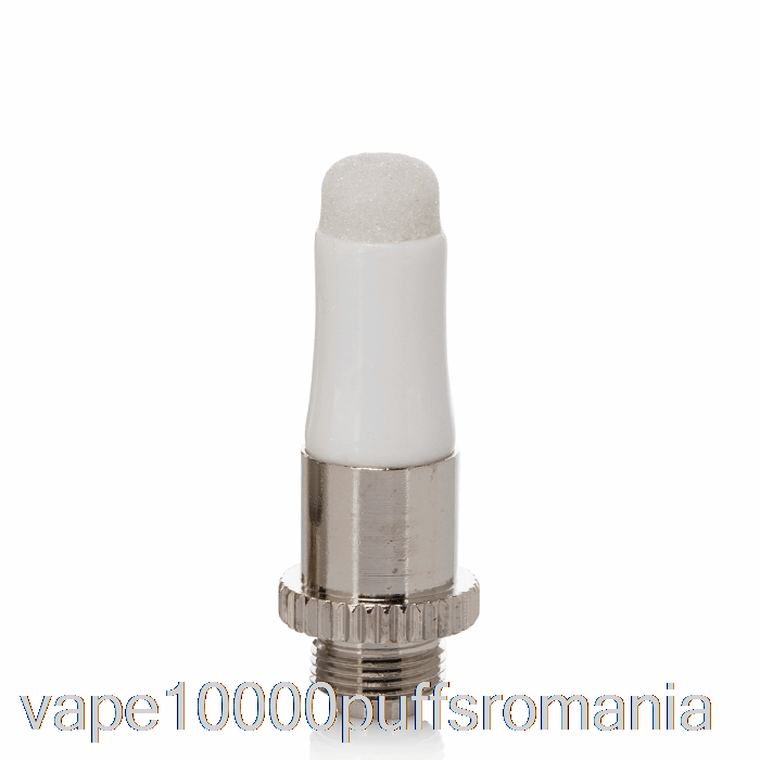 Vape Romania Tip Pen Jiggy înlocuire Dipper/dabber Atașament Dipper Attachment